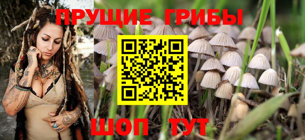 Галлюциногенные грибы ЛСД  Галлюциногенные грибы MAGIC MUSHROOMS  Вход с VPN  Кингисепп 